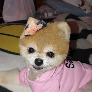 Meet your Posher, Jeannine